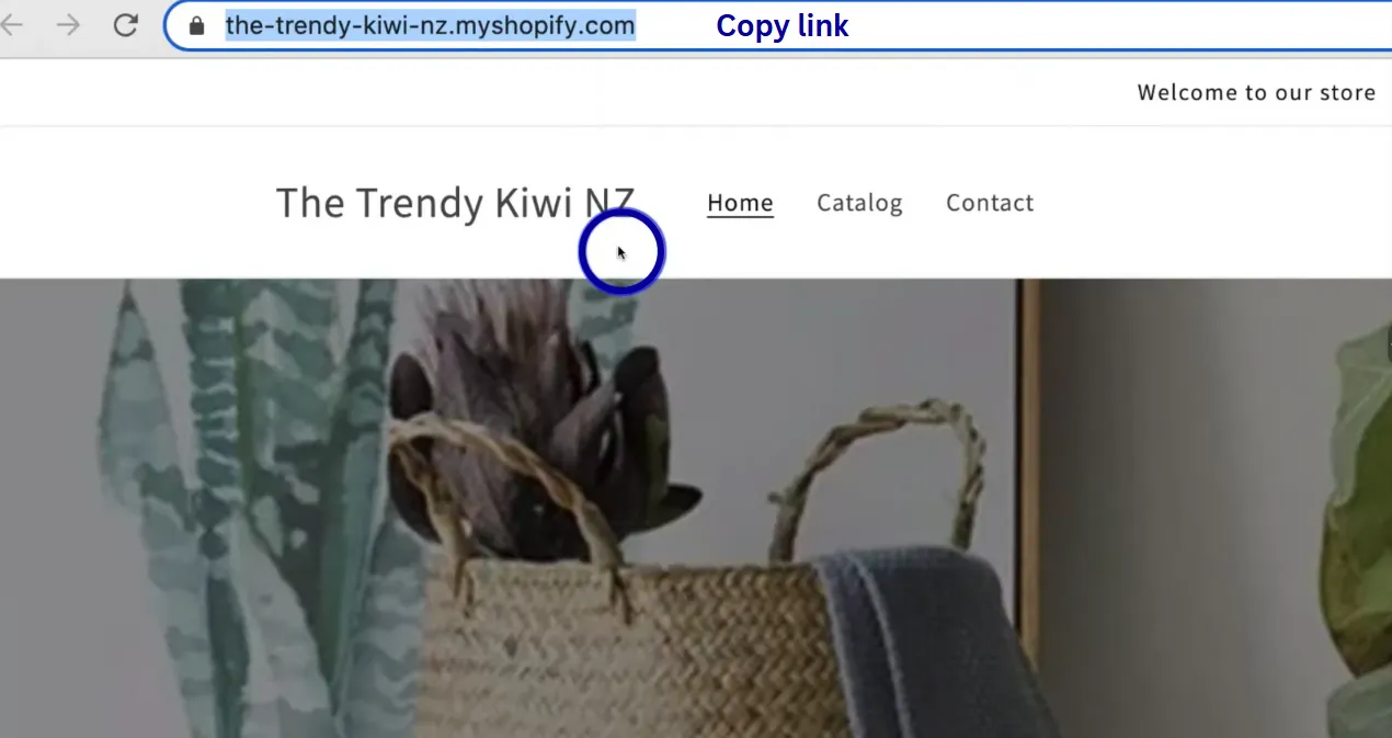 Copy the link and open the Google Search Console.